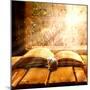 Open Old Book Magic Snail-FOTOALOJA-Mounted Photographic Print