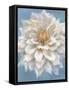 Open Petals I-Danhui Nai-Framed Stretched Canvas