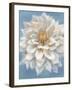 Open Petals I-Danhui Nai-Framed Art Print