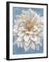 Open Petals I-Danhui Nai-Framed Art Print