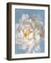 Open Petals II-Danhui Nai-Framed Art Print