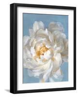 Open Petals II-Danhui Nai-Framed Art Print