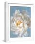 Open Petals II-Danhui Nai-Framed Art Print