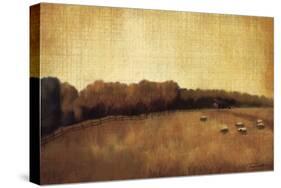 Open Range II-Tandi Venter-Stretched Canvas