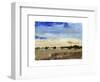 Open Range II-Tim O'toole-Framed Art Print