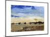 Open Range II-Tim O'toole-Mounted Art Print