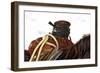 Open Range Roping Saddle-Amanda Lee Smith-Framed Photographic Print