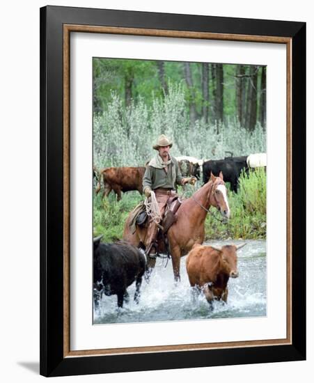 Open Range-null-Framed Photo