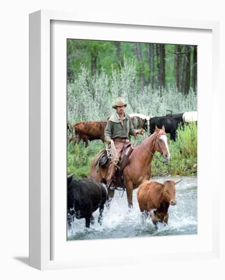 Open Range-null-Framed Photo