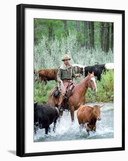 Open Range-null-Framed Photo