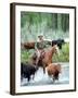 Open Range-null-Framed Photo