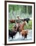 Open Range-null-Framed Photo