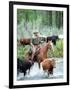 Open Range-null-Framed Photo