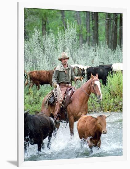 Open Range-null-Framed Photo