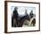 Open Range-null-Framed Photo