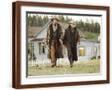Brown Frame