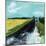 Open Road-Deanna Schuerbeke-Mounted Art Print