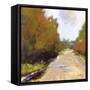 Open Road-Lou Wall-Framed Stretched Canvas
