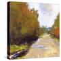 Open Road-Lou Wall-Stretched Canvas