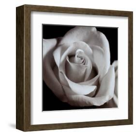 Open Rose-null-Framed Art Print