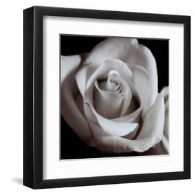 Open Rose-null-Framed Art Print