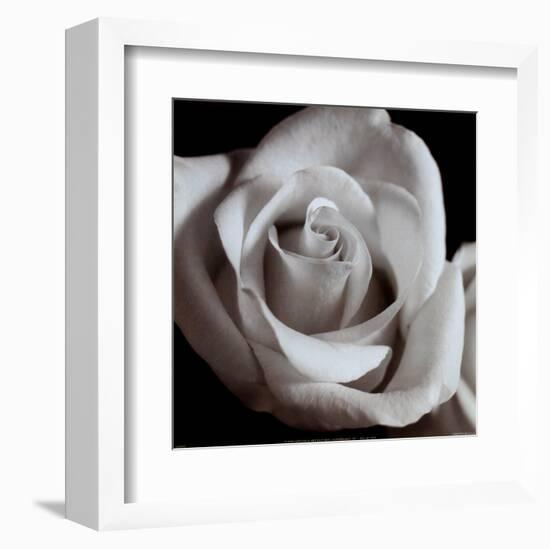 Open Rose-null-Framed Art Print