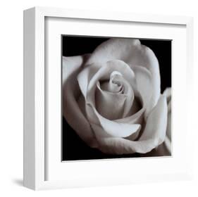 Open Rose-null-Framed Art Print