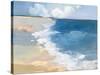 Open Shore Crop-Julia Purinton-Stretched Canvas