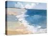 Open Shore Crop-Julia Purinton-Stretched Canvas