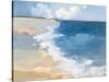 Open Shore Crop-Julia Purinton-Stretched Canvas