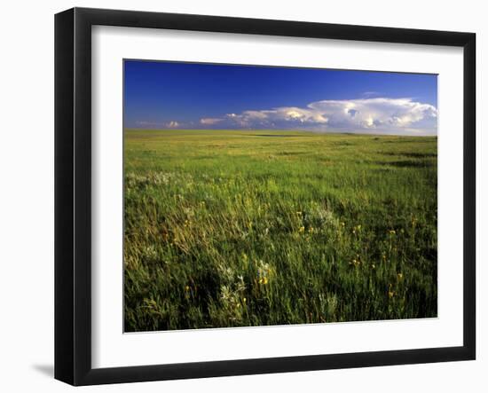 Open Short Grass Prairie North of Malta, Montana, USA-Chuck Haney-Framed Photographic Print