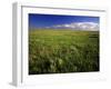 Open Short Grass Prairie North of Malta, Montana, USA-Chuck Haney-Framed Photographic Print