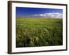 Open Short Grass Prairie North of Malta, Montana, USA-Chuck Haney-Framed Photographic Print