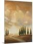 Open Sky I-Michael Marcon-Mounted Premium Giclee Print