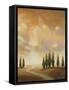 Open Sky I-Michael Marcon-Framed Stretched Canvas