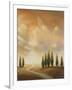 Open Sky I-Michael Marcon-Framed Art Print