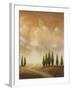 Open Sky I-Michael Marcon-Framed Art Print