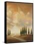 Open Sky I-Michael Marcon-Framed Stretched Canvas