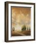 Open Sky I-Michael Marcon-Framed Art Print