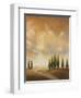 Open Sky I-Michael Marcon-Framed Art Print