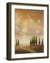 Open Sky I-Michael Marcon-Framed Art Print