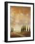 Open Sky I-Michael Marcon-Framed Art Print