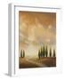 Open Sky I-Michael Marcon-Framed Art Print