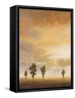 Open Sky II-Michael Marcon-Framed Stretched Canvas