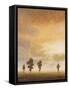 Open Sky II-Michael Marcon-Framed Stretched Canvas