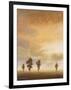 Open Sky II-Michael Marcon-Framed Art Print