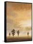 Open Sky II-Michael Marcon-Framed Stretched Canvas