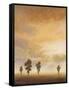 Open Sky II-Michael Marcon-Framed Stretched Canvas