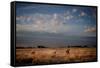 Open Spaces-Dan Ballard-Framed Stretched Canvas