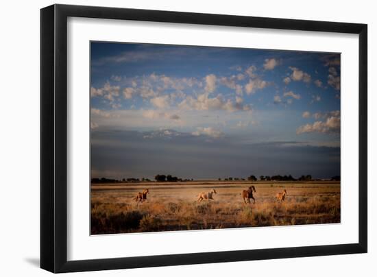 Open Spaces-Dan Ballard-Framed Premium Photographic Print